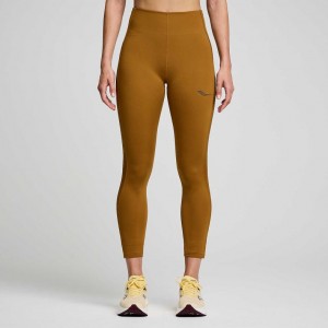 Brown Women's Saucony Fortify Viz Tight | AUS-WZBVP