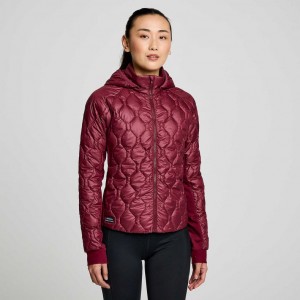 Burgundy Women's Saucony Solstice Oysterpuff Jacket | AUS-IUGLH