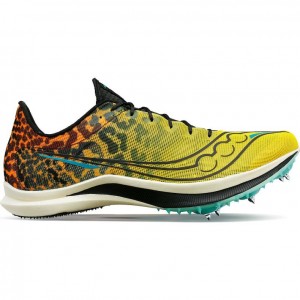 Multicolor Men's Saucony Endorphin Cheetah Running Shoes | AUSTRALIA-XJTNY