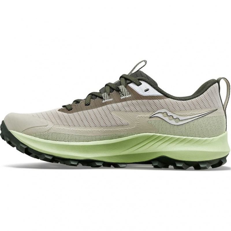 Grey / Mint Men's Saucony Peregrine 13 GTX Running Shoes | AUSTRALIA-OWFUB